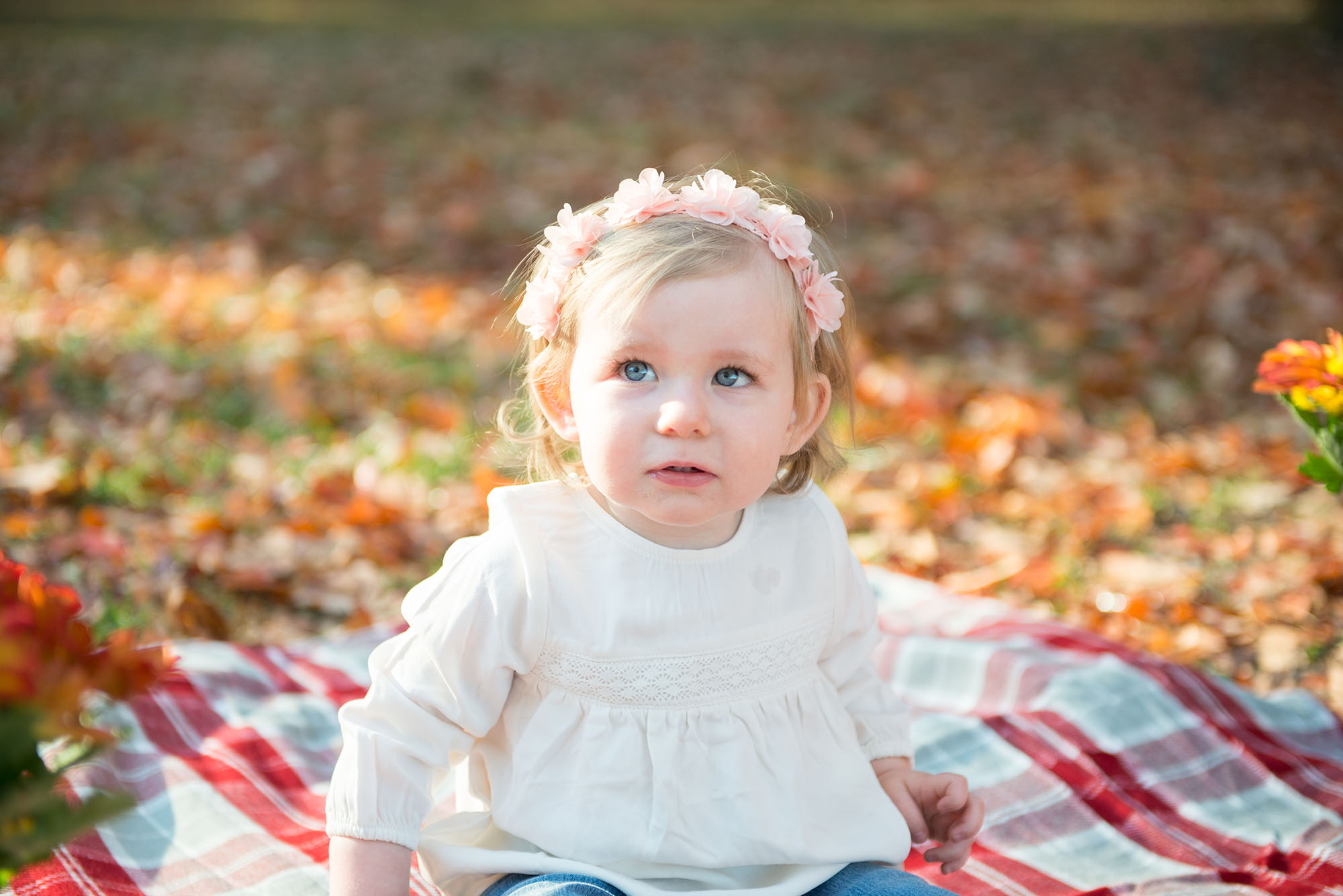 Fall Family Photography Session Maryville TN